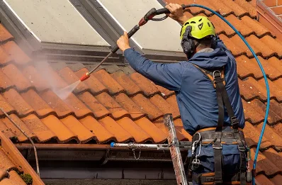 Démoussage et hydrofuge de toiture à Dambron